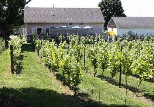 The Langworthy Inn & Winery Westerly Luaran gambar
